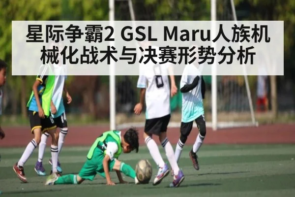 星际争霸2 GSL Maru人族机械化战术与决赛形势分析