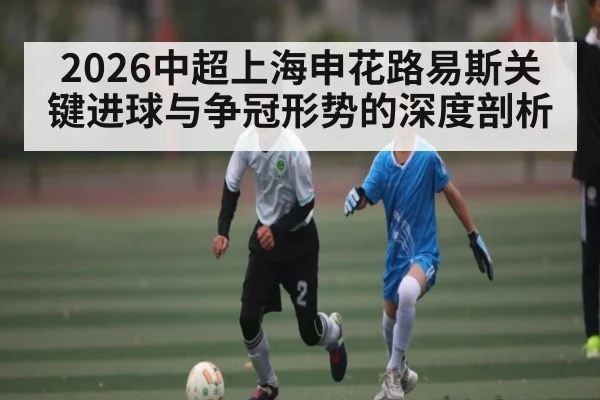 2026中超上海申花路易斯关键进球与争冠形势的深度剖析